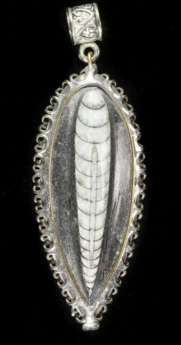 Fossil Orthoceras Pendant #46962